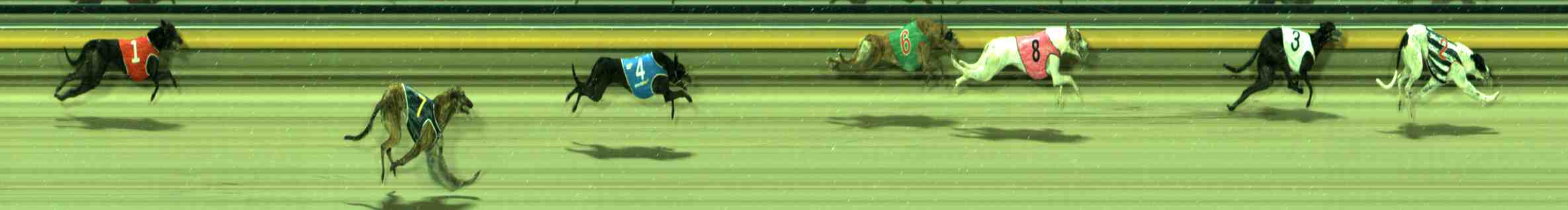 Photo finish for Sale Race 9