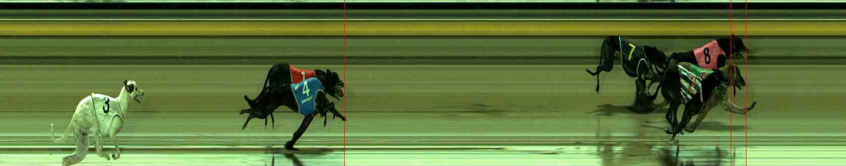 Photo finish for Sale Race 10