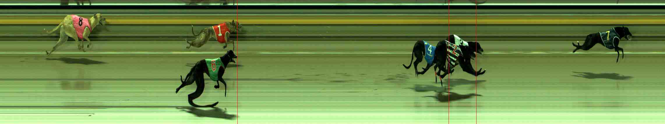 Photo finish for Sale Race 11