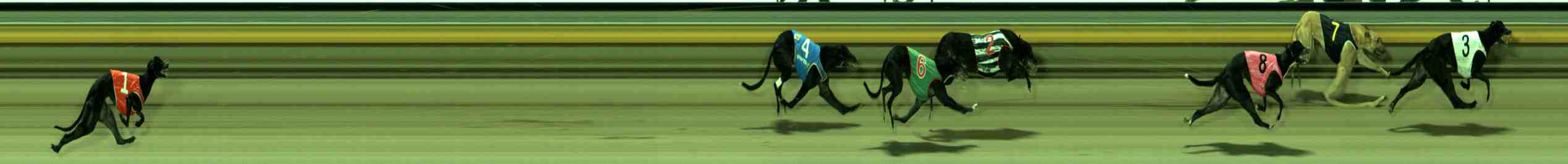 Photo finish for Sale Race 12