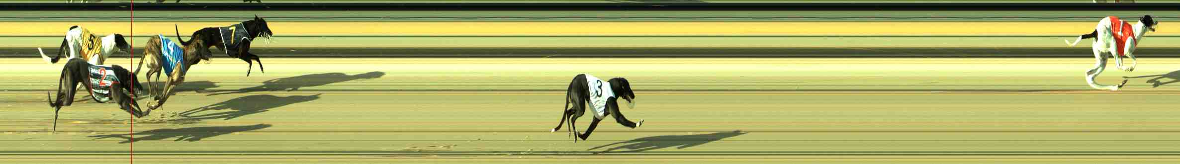Photo finish for Sale Race 2