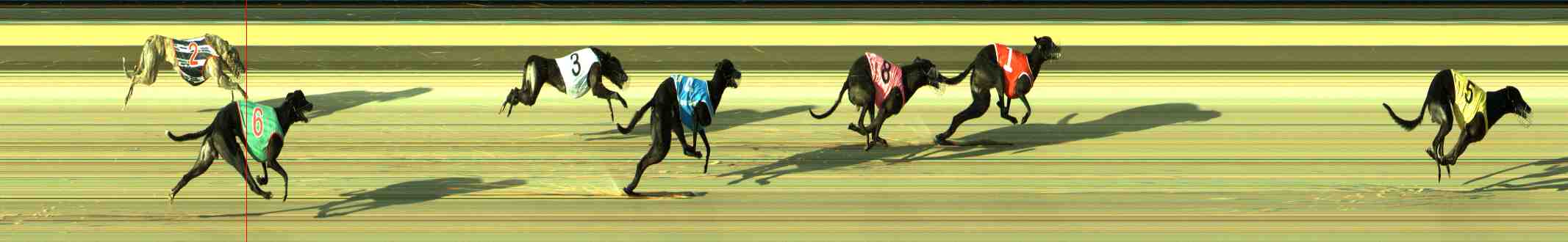 Photo finish for Sale Race 3