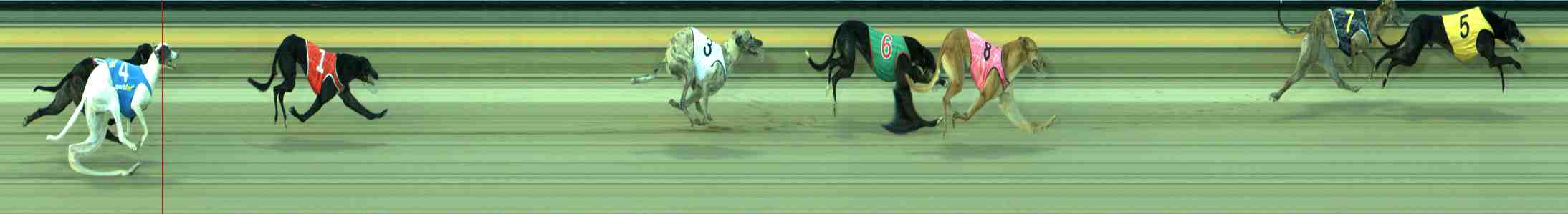 Photo finish for Sale Race 4