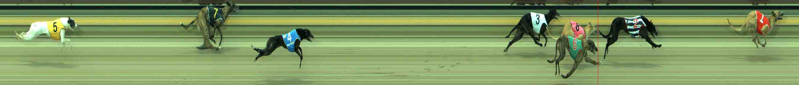 Photo finish for Sale Race 5
