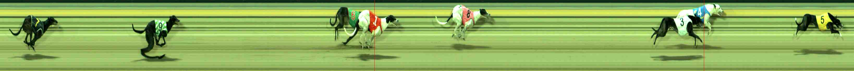 Photo finish for Sale Race 8