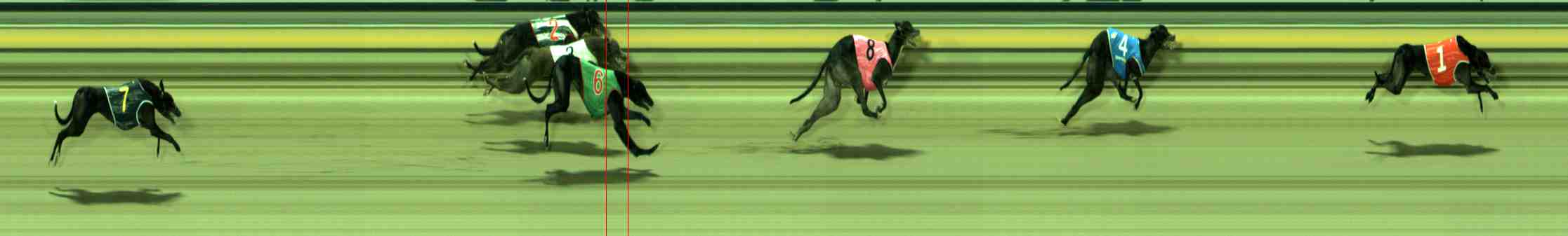 Photo finish for Sale Race 9