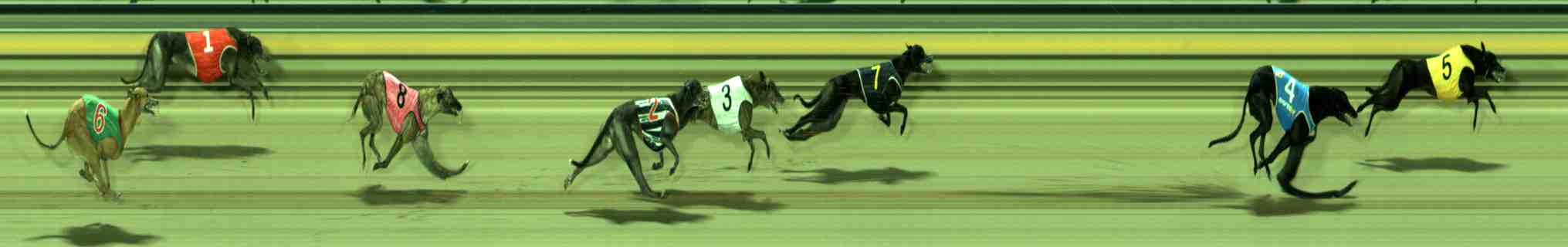 Photo finish for Sale Race 10