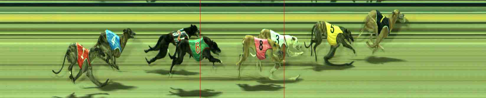 Photo finish for Sale Race 12