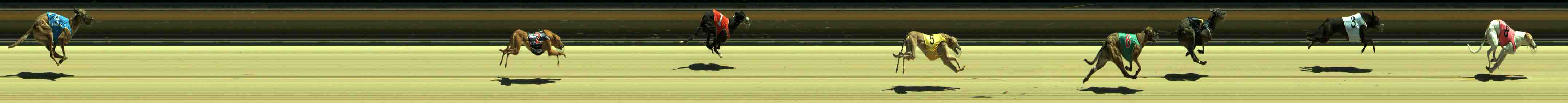 Photo finish for Sale Race 1