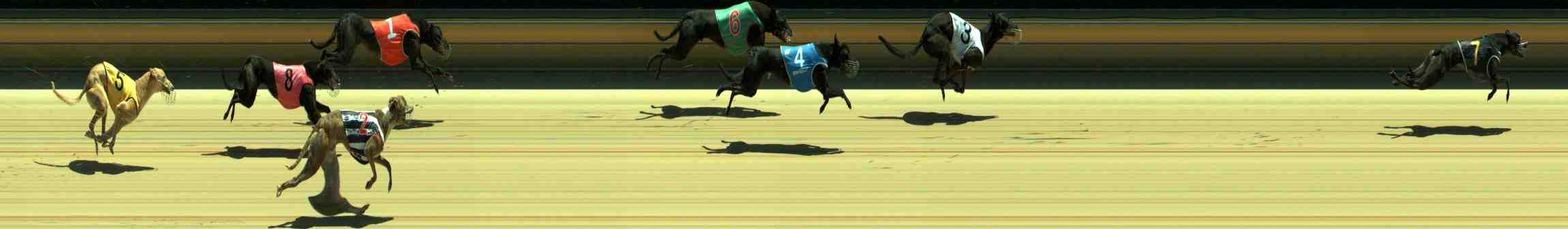 Photo finish for Sale Race 2