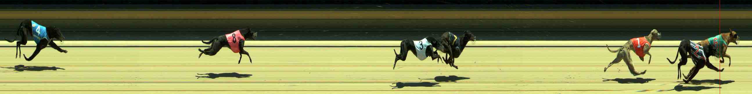 Photo finish for Sale Race 4