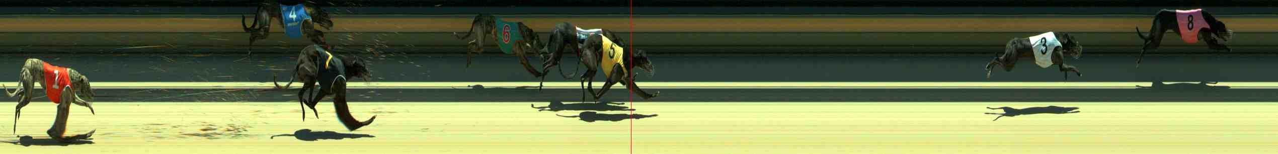 Photo finish for Sale Race 6