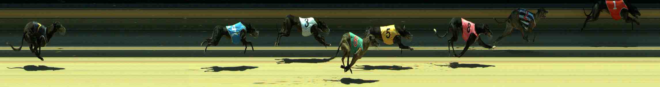 Photo finish for Sale Race 7