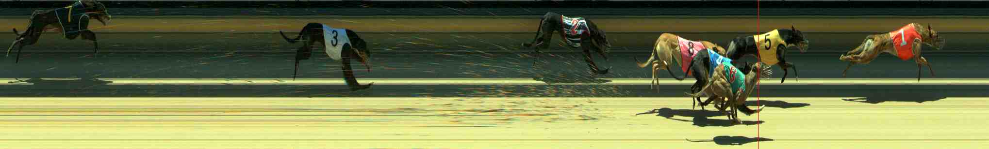 Photo finish for Sale Race 8