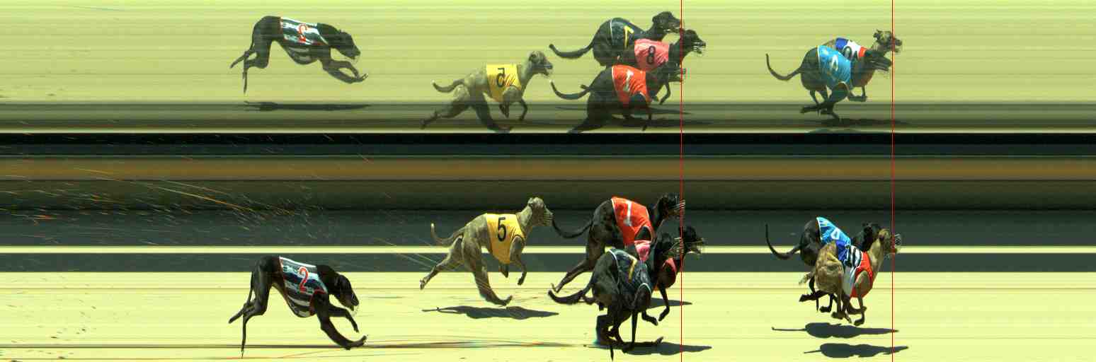 Photo finish for Sale Race 9