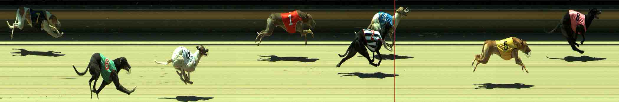 Photo finish for Sale Race 10