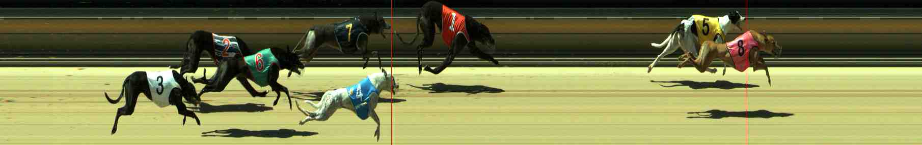 Photo finish for Sale Race 12