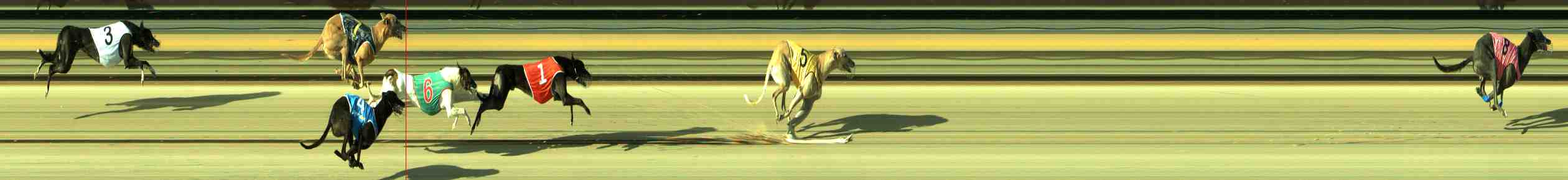 Photo finish for Sale Race 2