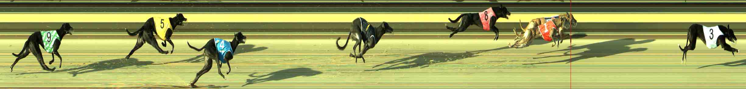 Photo finish for Sale Race 4
