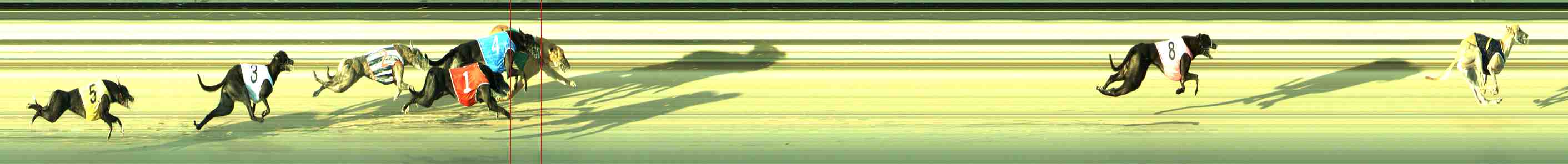 Photo finish for Sale Race 5