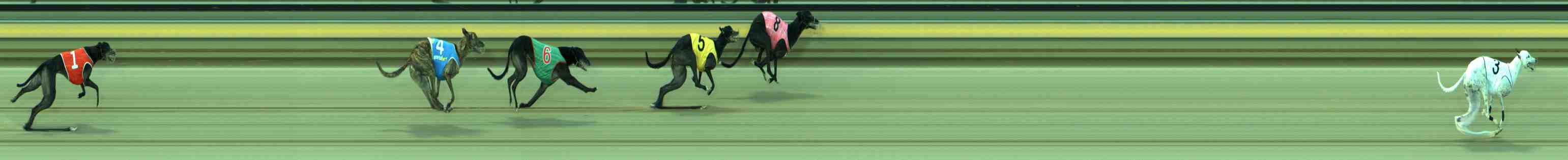 Photo finish for Sale Race 6