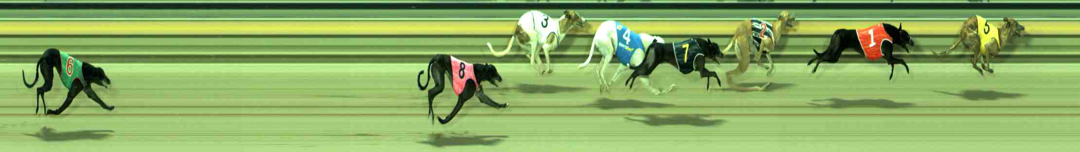 Photo finish for Sale Race 8