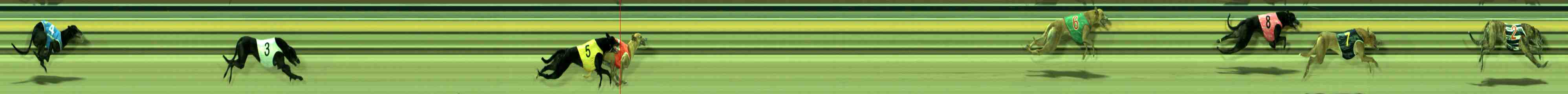 Photo finish for Sale Race 10