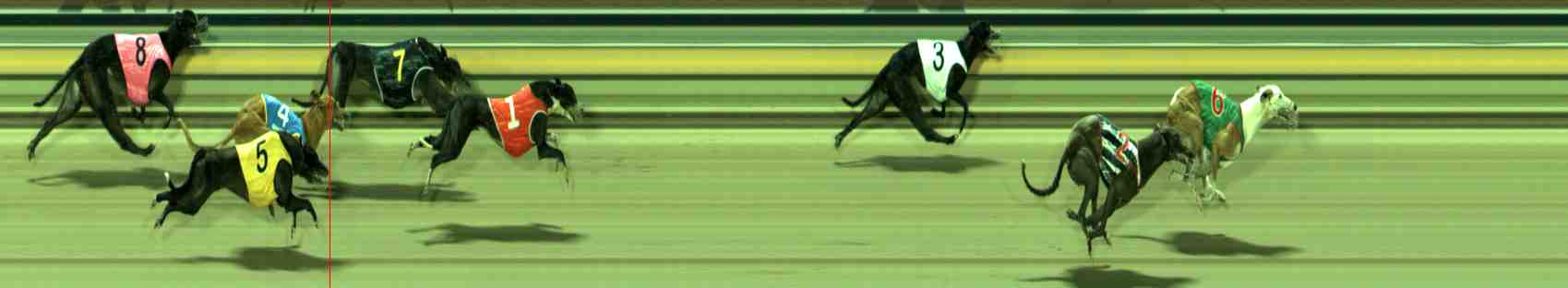 Photo finish for Sale Race 11