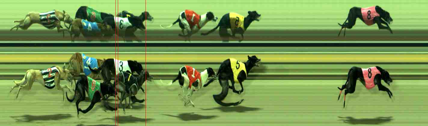 Photo finish for Sale Race 12