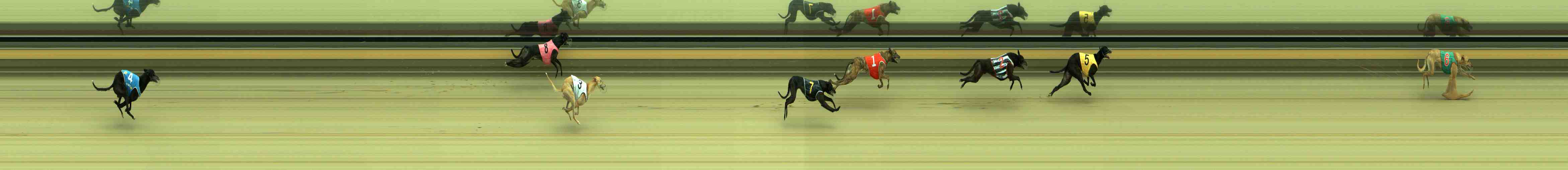 Photo finish for Sale Race 2