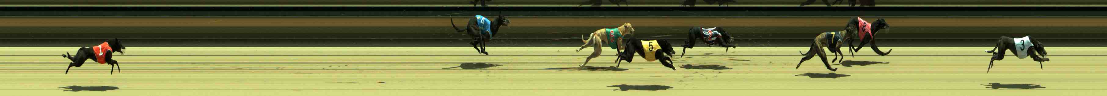 Photo finish for Sale Race 3