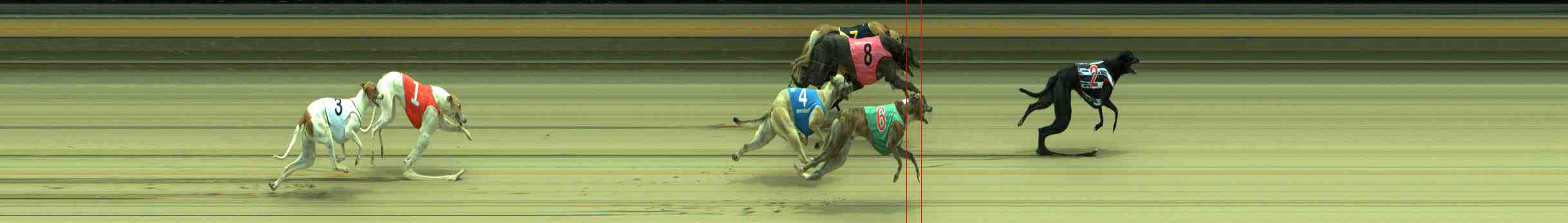 Photo finish for Sale Race 4