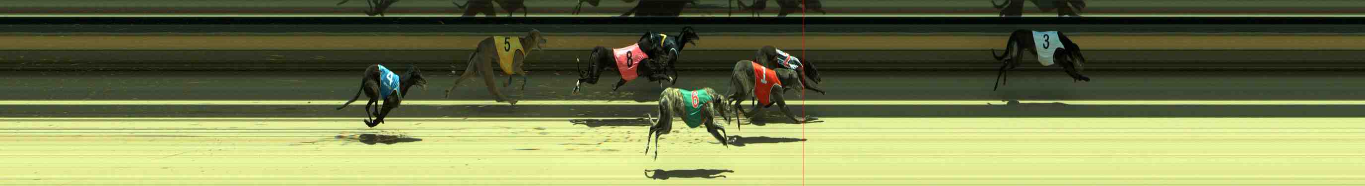 Photo finish for Sale Race 5