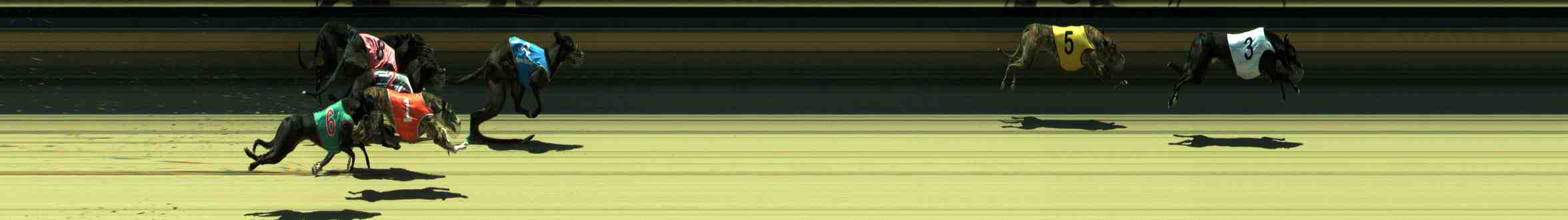 Photo finish for Sale Race 7