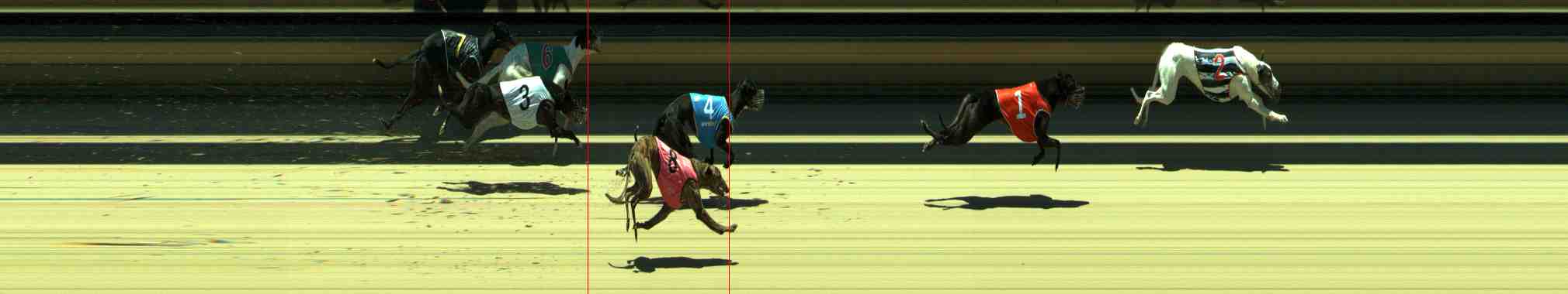 Photo finish for Sale Race 8