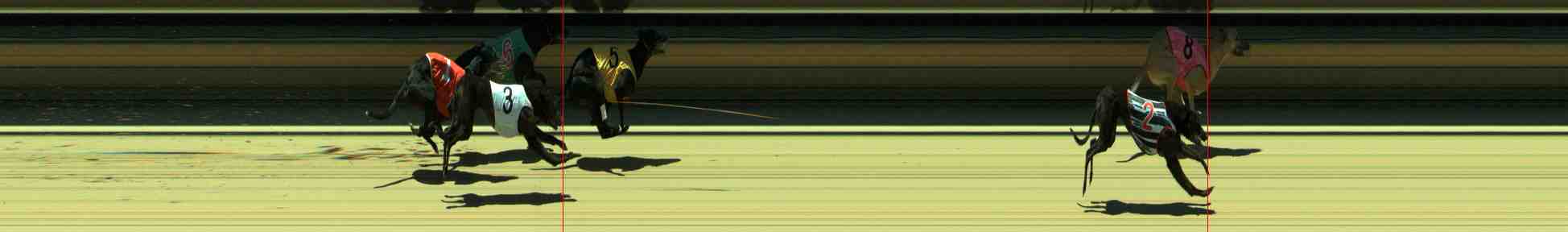 Photo finish for Sale Race 9