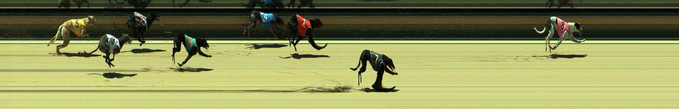Photo finish for Sale Race 10