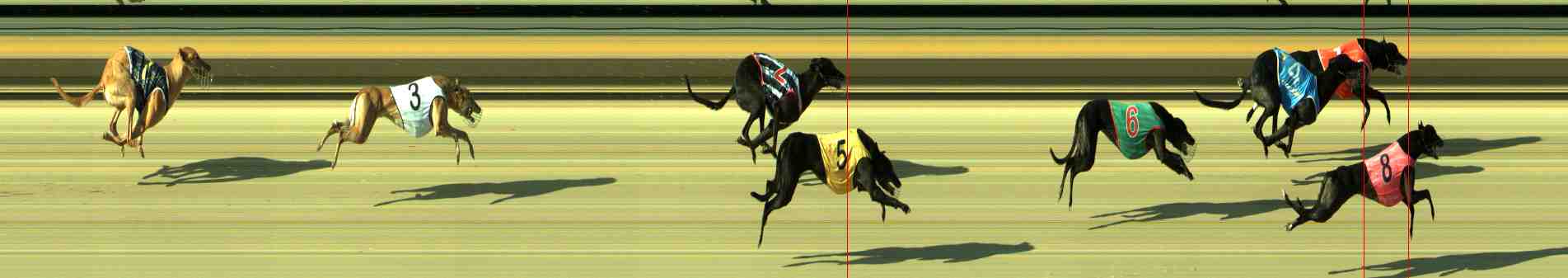 Photo finish for Sale Race 2