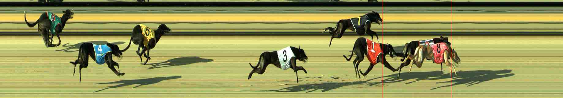 Photo finish for Sale Race 3