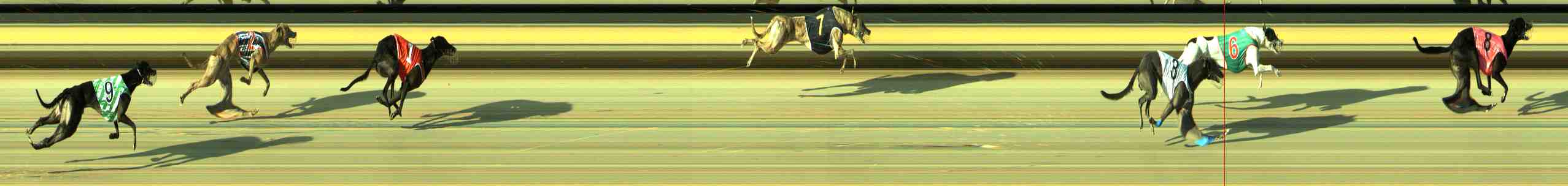 Photo finish for Sale Race 4