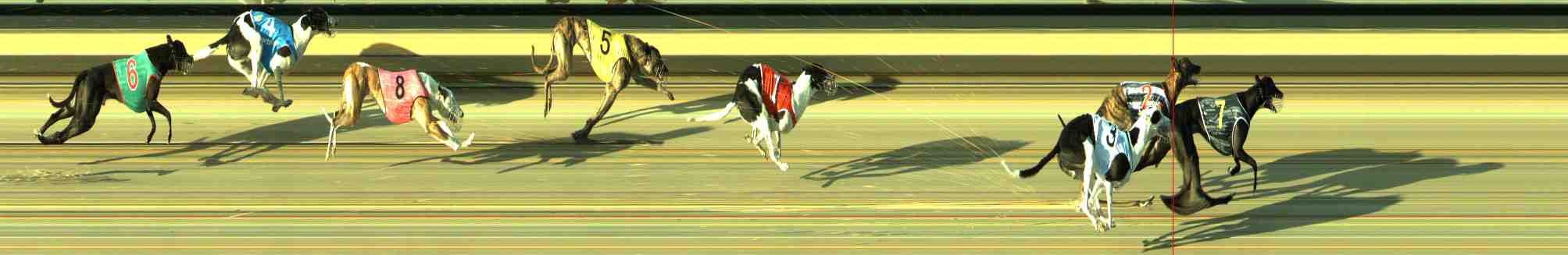 Photo finish for Sale Race 5
