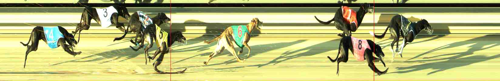 Photo finish for Sale Race 6