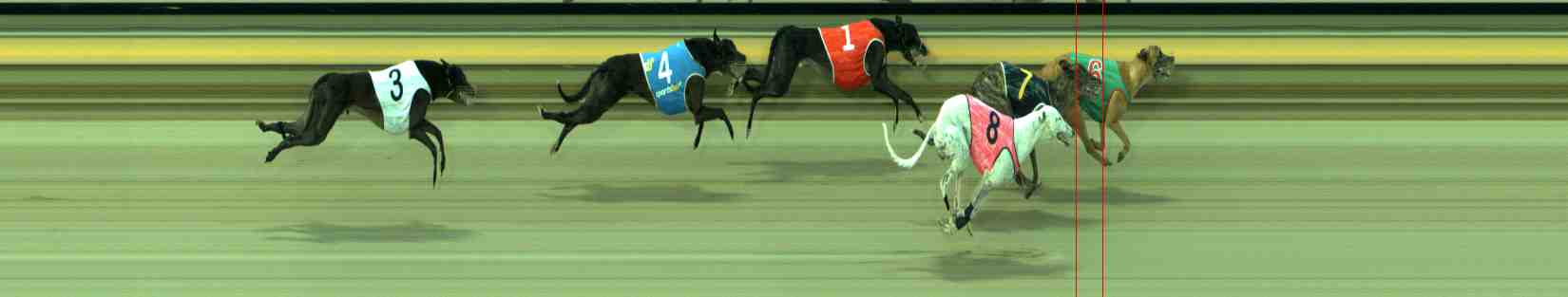 Photo finish for Sale Race 8