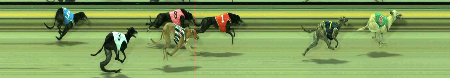 Photo finish for Sale Race 9