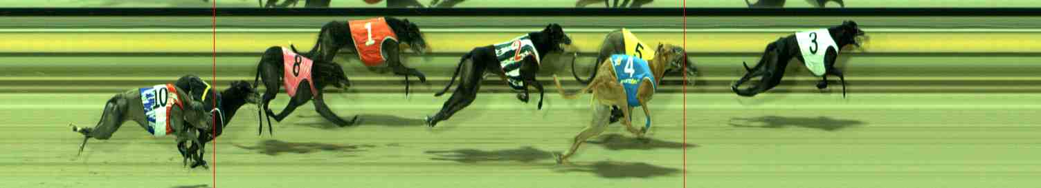 Photo finish for Sale Race 10