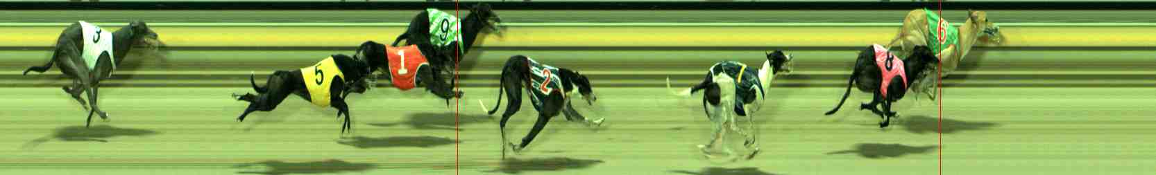Photo finish for Sale Race 11
