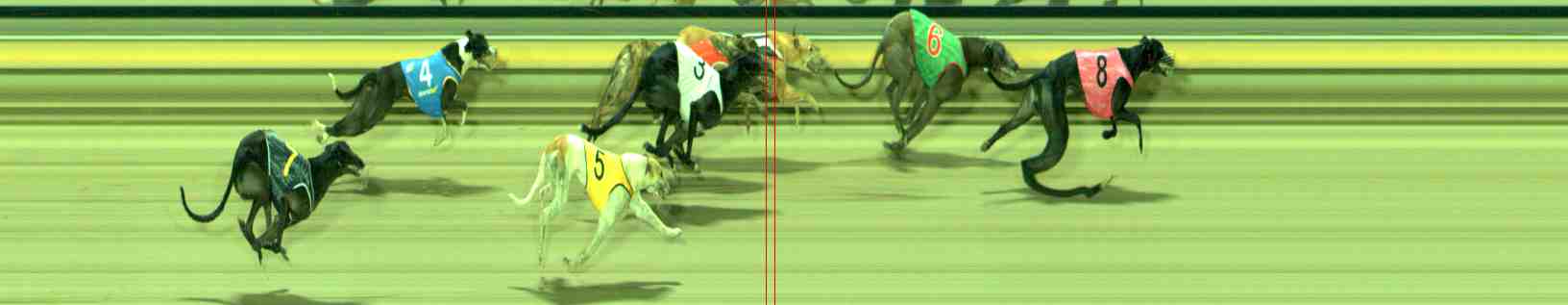 Photo finish for Sale Race 12