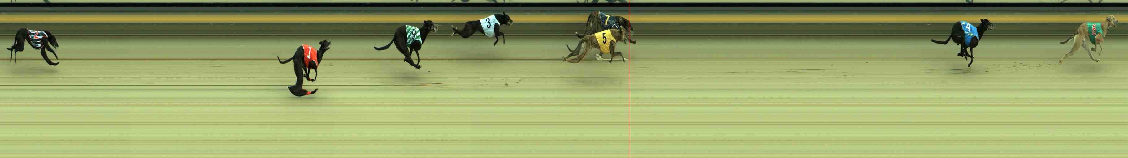 Photo finish for Sale Race 1