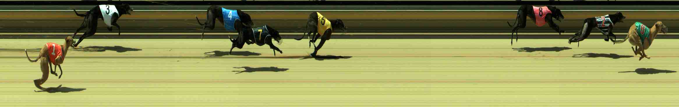 Photo finish for Sale Race 10