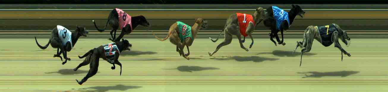Photo finish for Sale Race 11